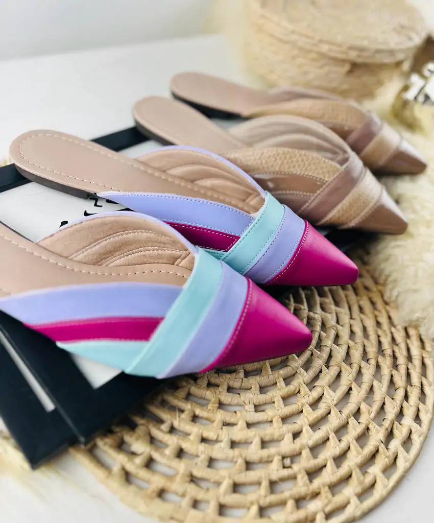 Mule Bico Fino Alongado 3 Cores